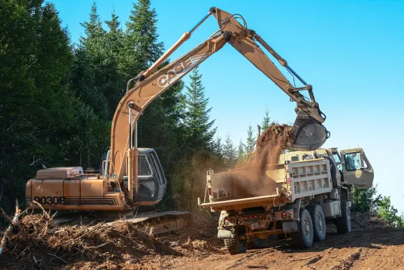 Casino Loot Bet Supporto